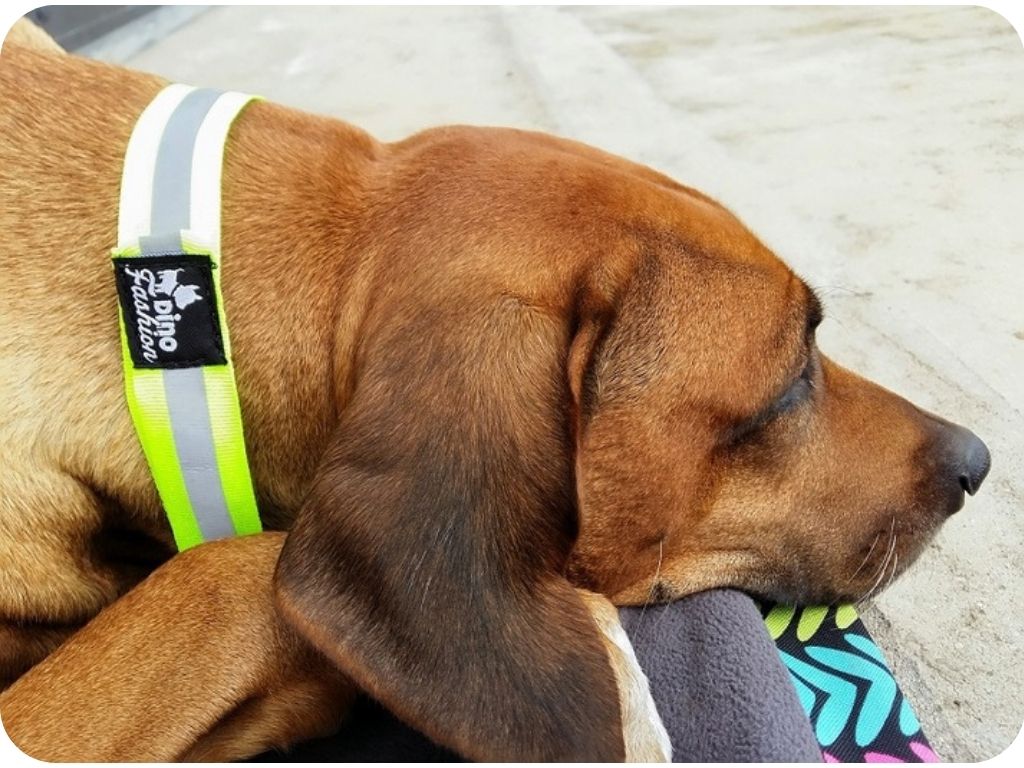 Návrh bez názvu - 2025-12-19T202238.907